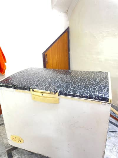 Deep Freezer 03248468747