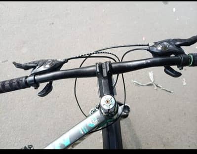 Morgan bicycle stainless steel body.