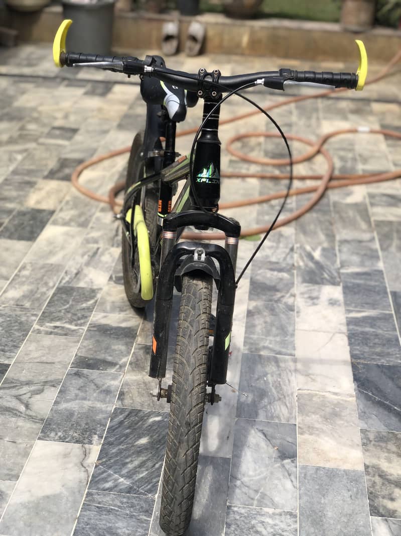 Mountain bicycle 1