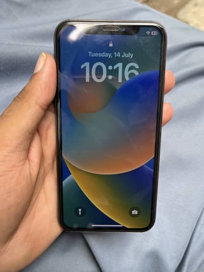 Apple iPhone X