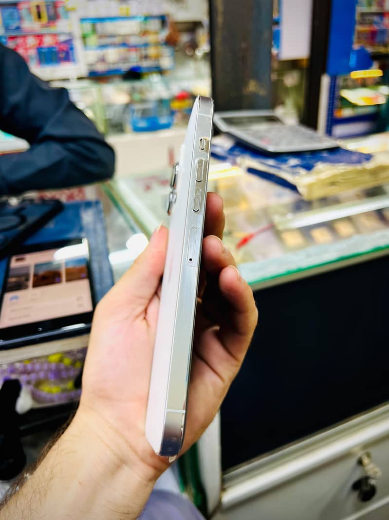 13 pro max 1