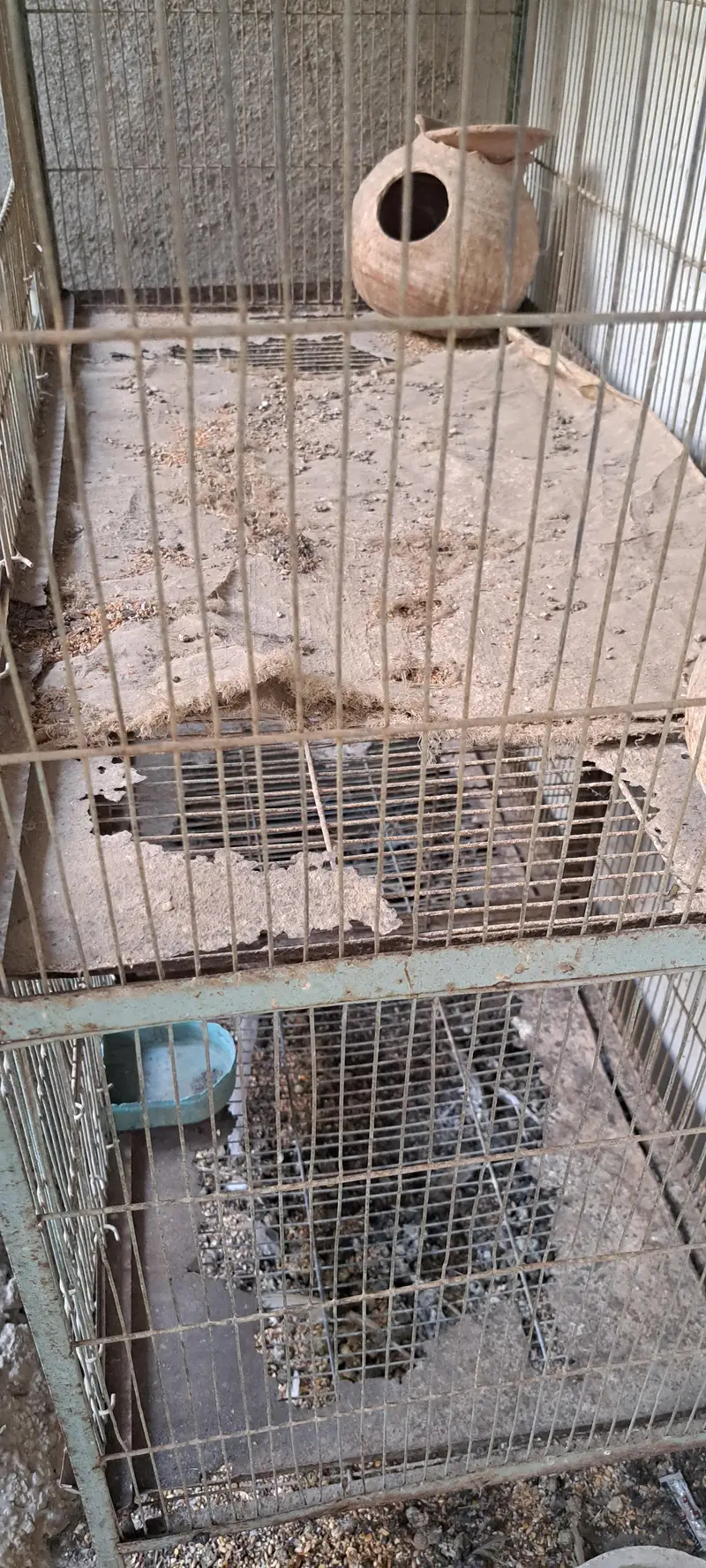 High-Quality Cage for Sale – Strong, Spacious & Durable — photo 2