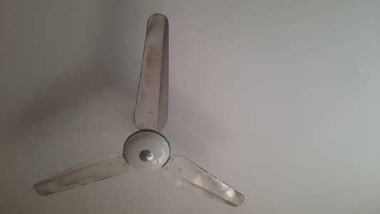 11 ceiling fans