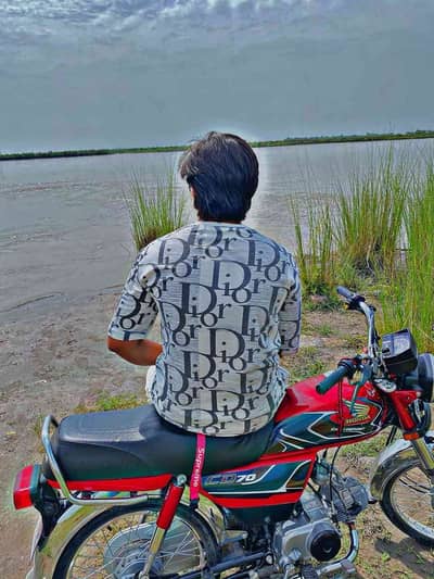 MR SHAMII 