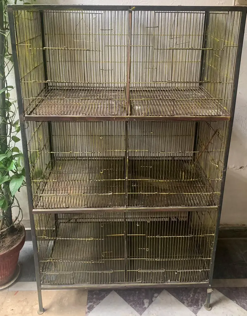 Big cage for sale — photo 2