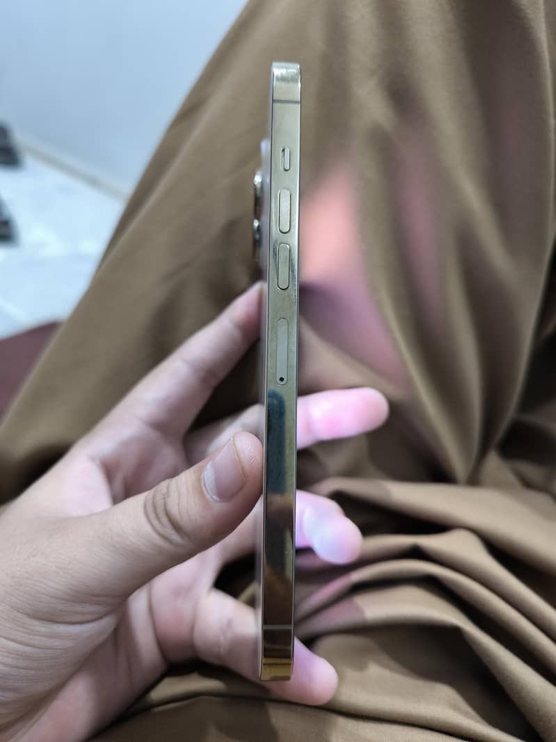 Apple iPhone 13 Pro Max 2