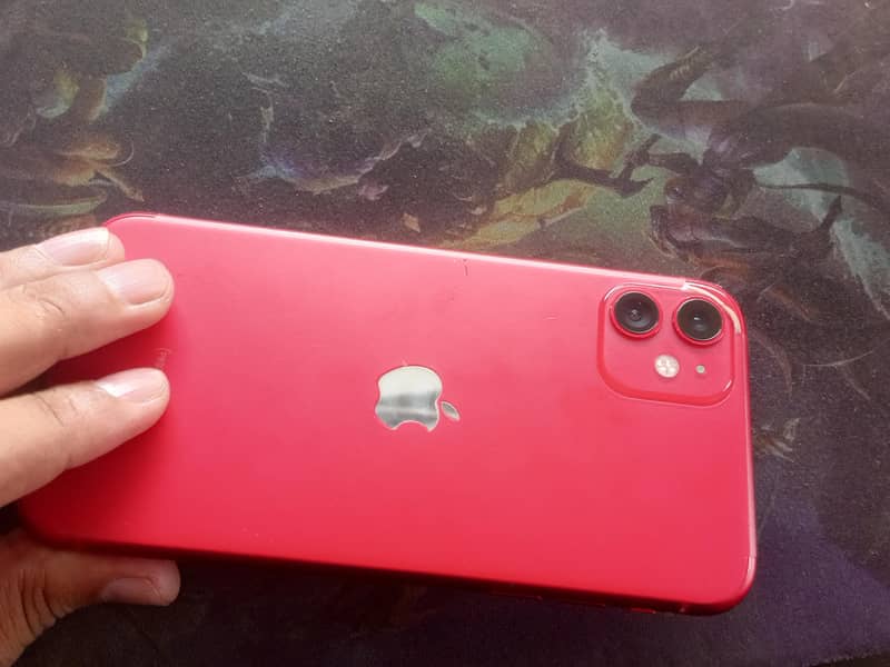 Apple iPhone 11 1