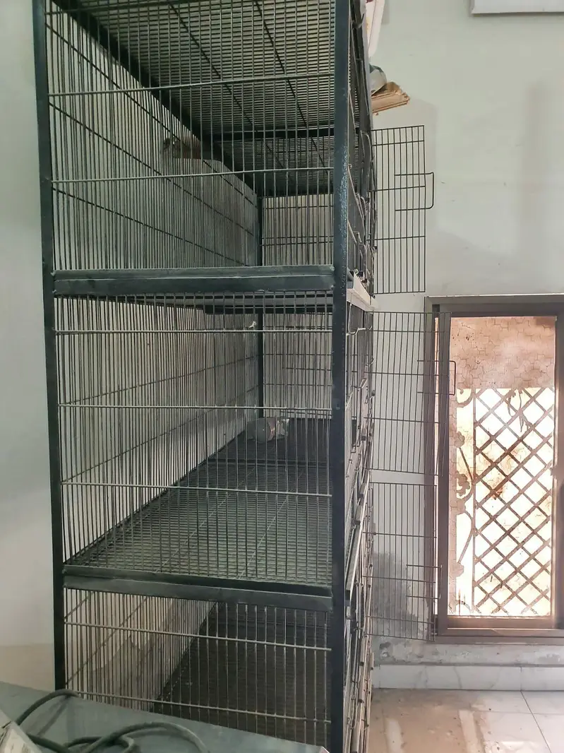 1 solid iron cage 2.5 x 1.5 ft, 1 heavy wooden cage — photo 2