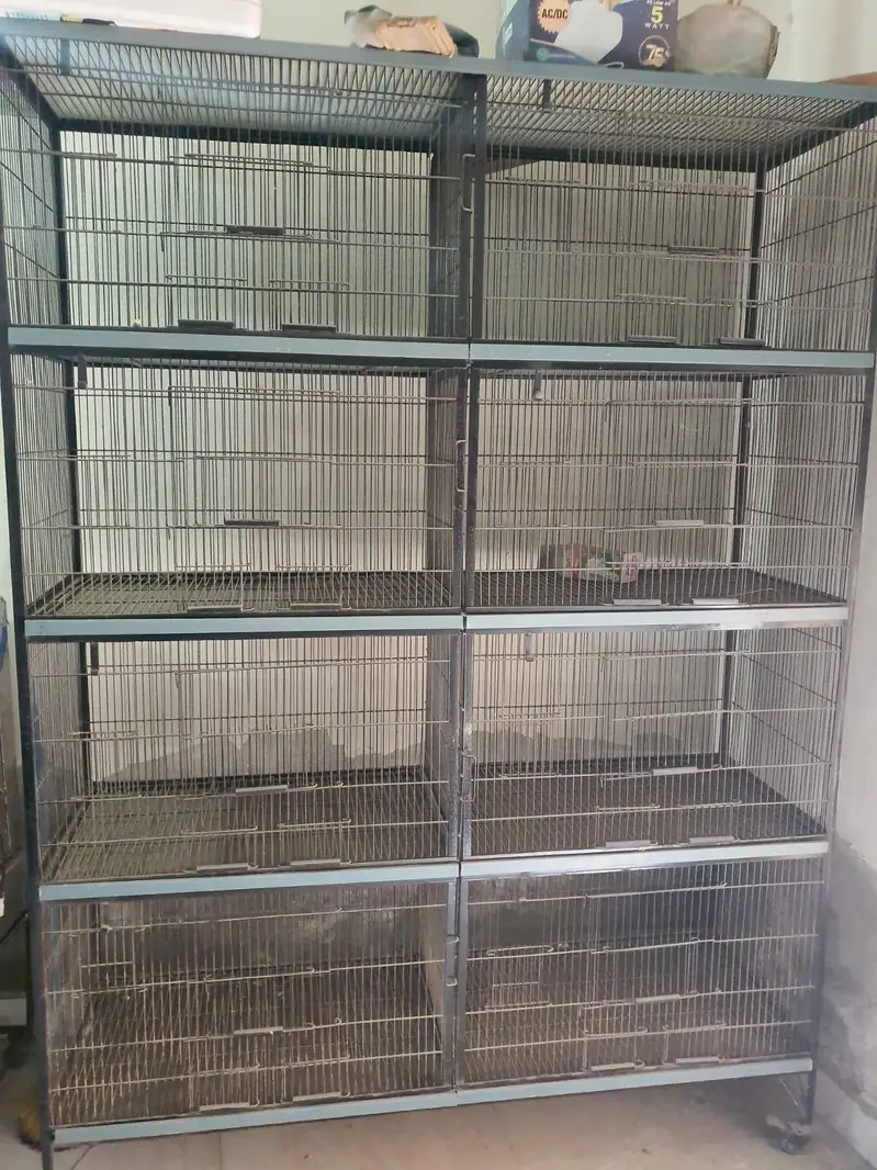 1 solid iron cage 2.5 x 1.5 ft, 1 heavy wooden cage — photo 3