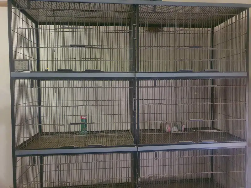 1 solid iron cage 2.5 x 1.5 ft, 1 heavy wooden cage — photo 4