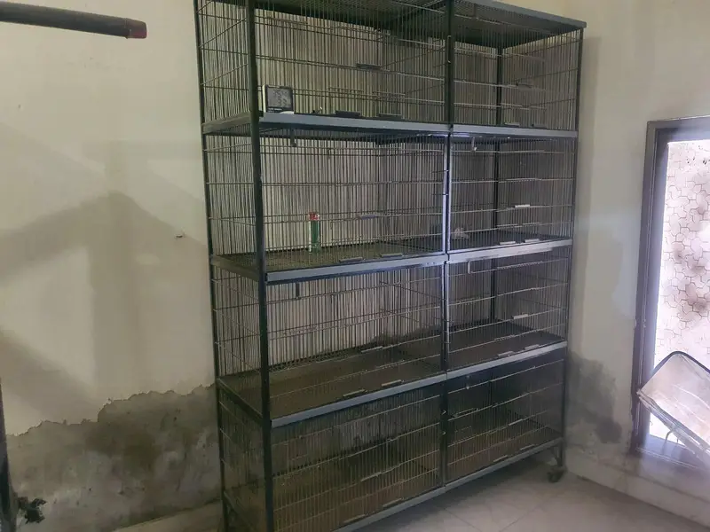 1 solid iron cage 2.5 x 1.5 ft, 1 heavy wooden cage — photo 5