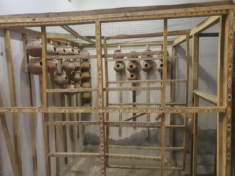 1 solid iron cage 2.5 x 1.5 ft, 1 heavy wooden cage — photo 6