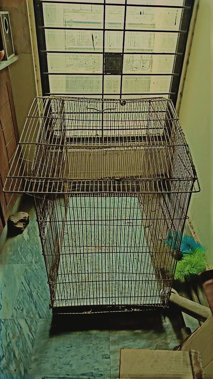 Big Size Cage Best Cage Best Cage For Pairing — photo 3