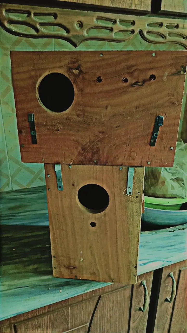 Big Size Cage Best Cage Best Cage For Pairing — photo 5