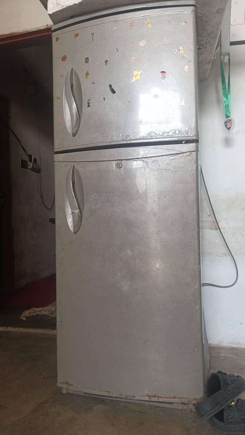 frige 1