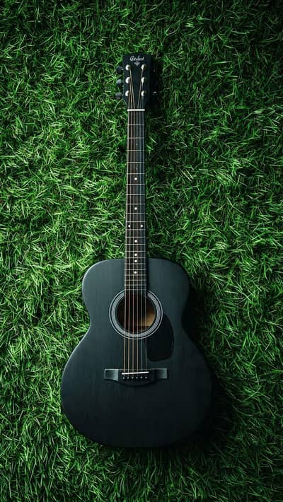 Acoustic Guitar  
