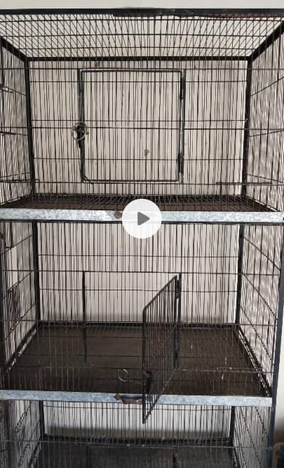 Birds Cage