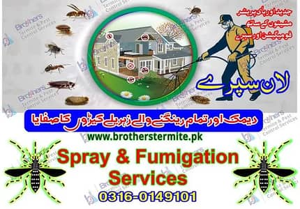 Pest Control/Termite Control/Fumigation Spray/Deemak Control Services
