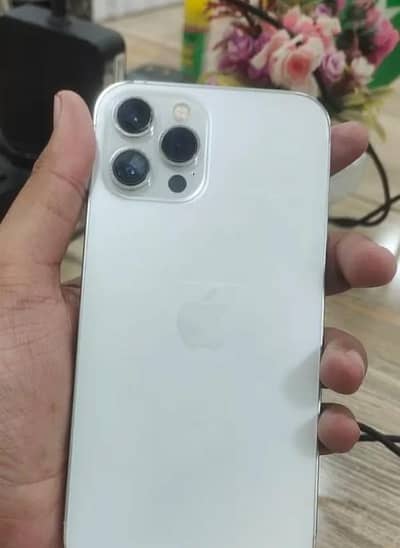 Apple iPhone 12 Pro Max