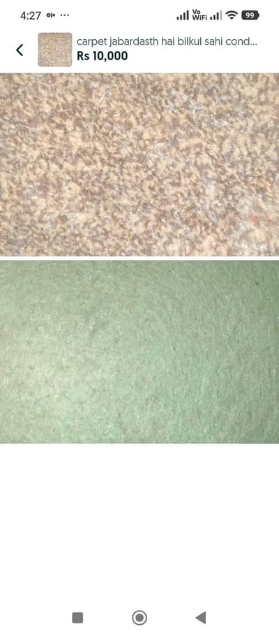 Title: 16×12 Ft Large Carpet for Sale | Neat & Clean | Good Condition