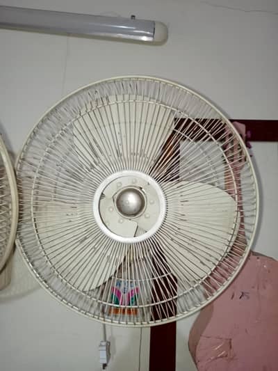 Bracket Fan For Sale