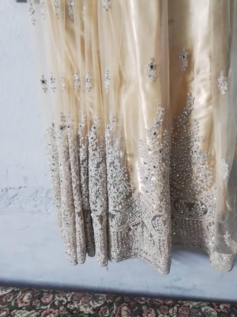walima maxi 1