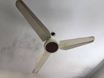 royal fan new condition