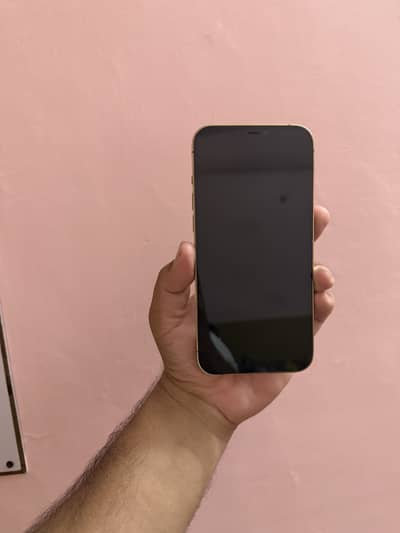 Apple iPhone 12 Pro Max