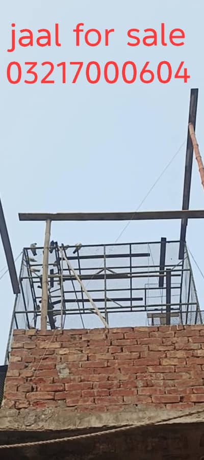 12 feet ka jaal