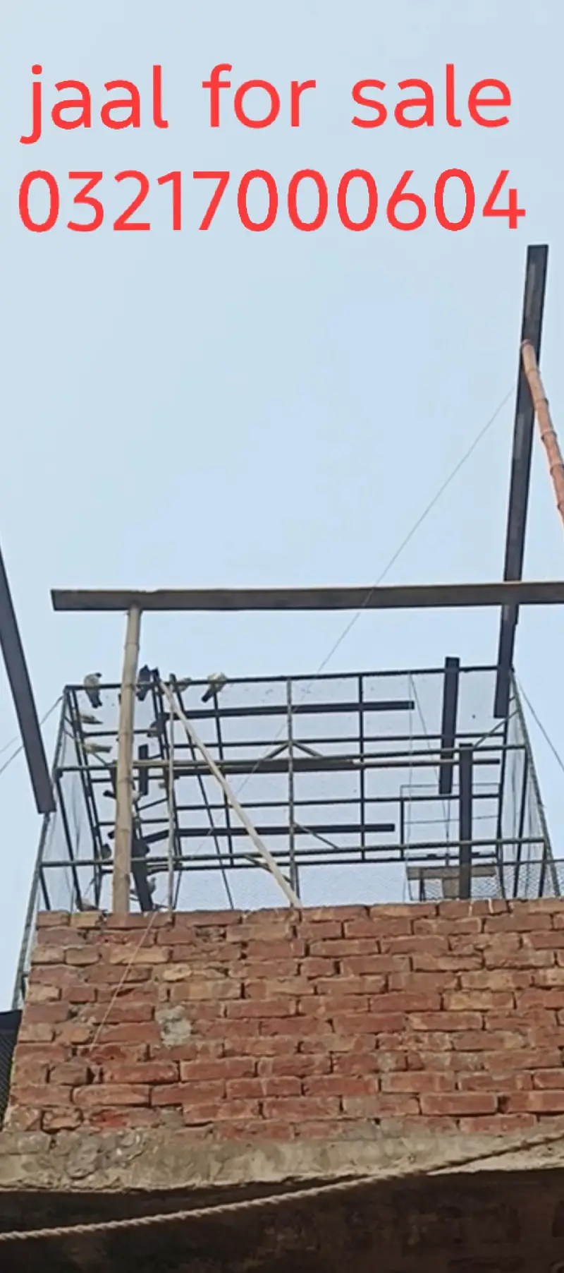 12 feet ka jaal