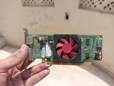 amd 1gb graphic card