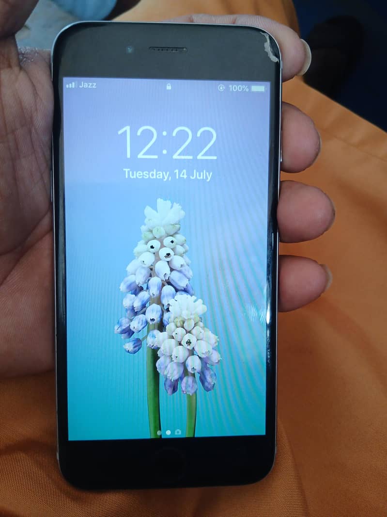 Apple iPhone 6 6