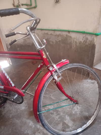 sohrab beautiful cycle size 20