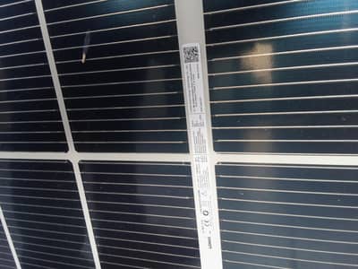solar panels. longi himox10 645 watt