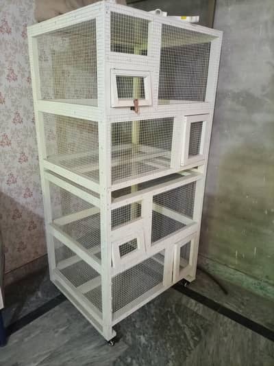 bird cage dove cage pigeon cage
