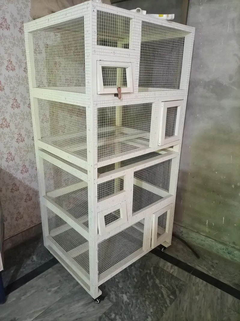 bird cage dove cage pigeon cage