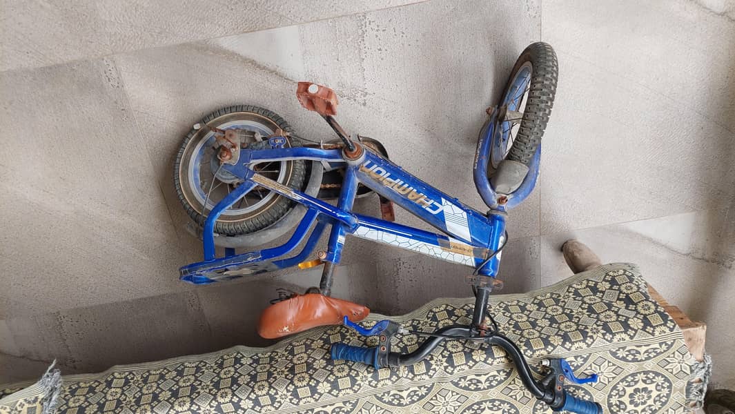 choti cycle 1