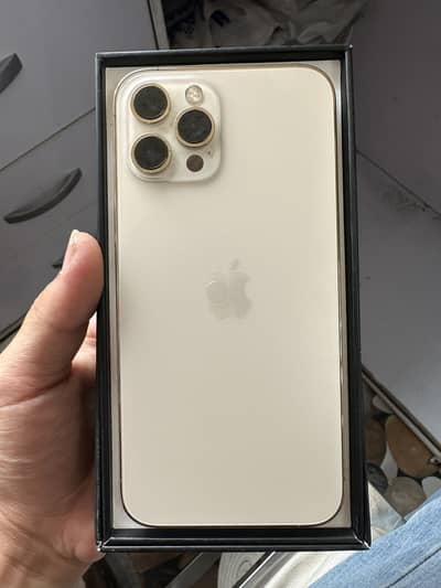 Apple iPhone 12 Pro Max