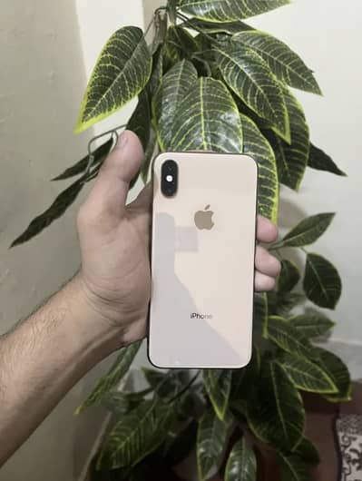 Apple iPhone XS