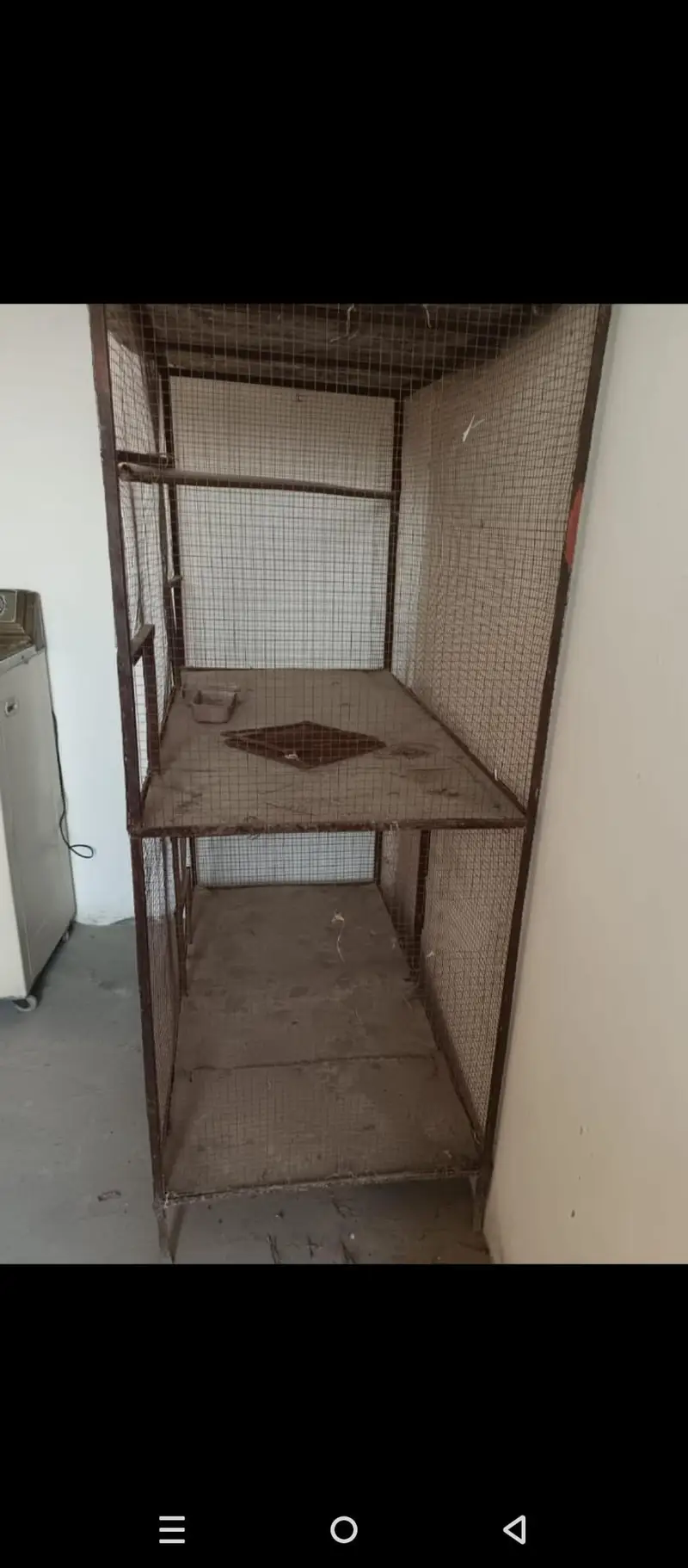 parrot cage