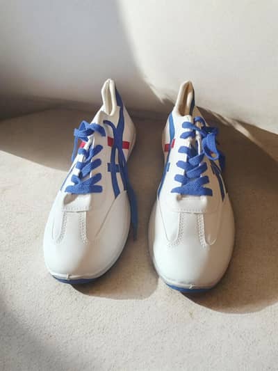 Sneaker Fashion Sports