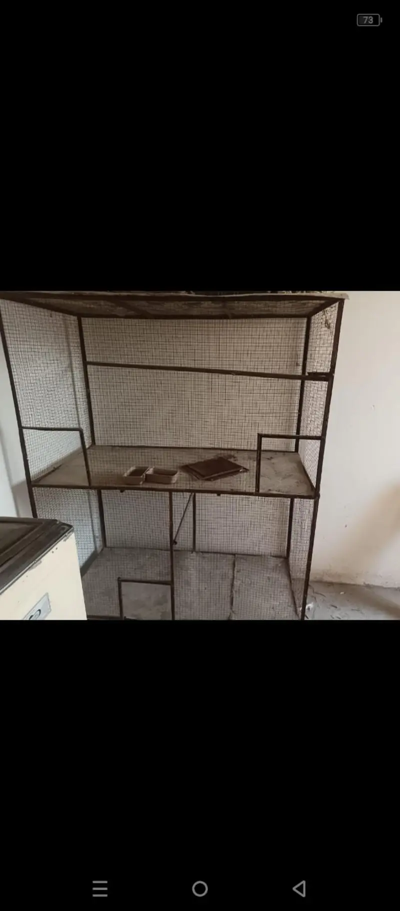 parrot cage