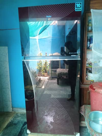 haler    refrigerator 538 TIFR A1 model full size jumbo size