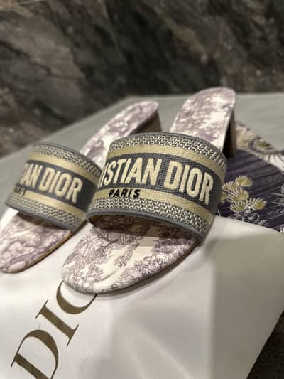 Dior Dway Low Heel Slides (Sandals)