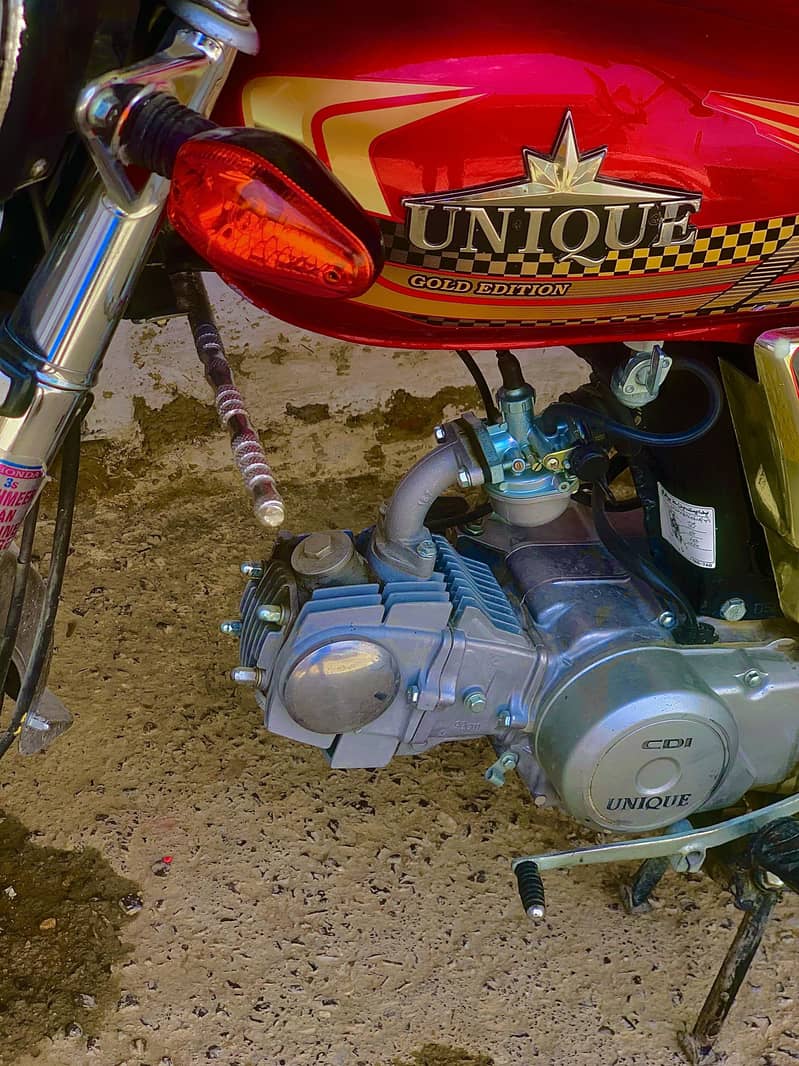 Unique model 2