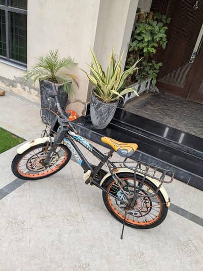 Sports Cycle