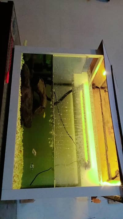 Brand new fish aquarium