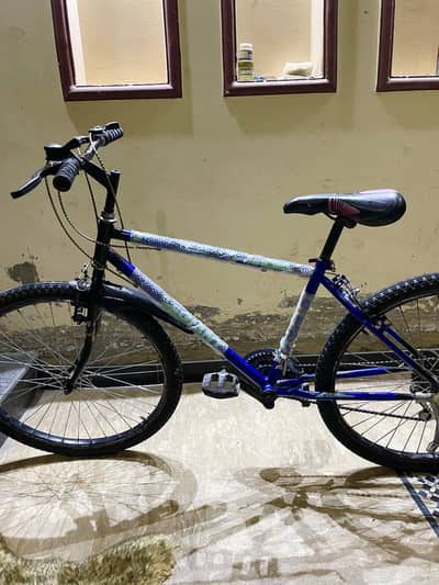 Hit GIANT bicycle with gears