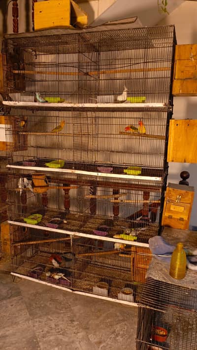 8 portion folding cage