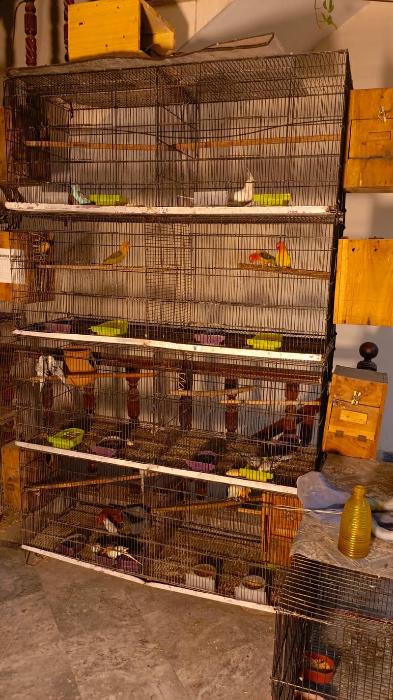 8 portion folding cage 0